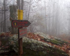 mountain-4-1024x818